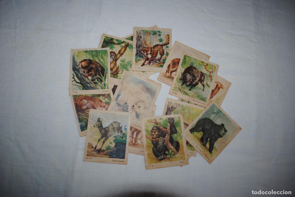 Coleccionismo cromos antiguos: CHOCOLATES EUREKA , CROMOS DE ANIMALES . - Foto 1