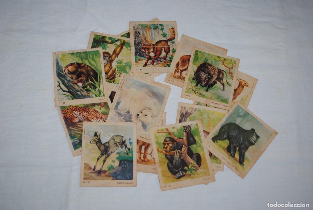 Coleccionismo cromos antiguos: CHOCOLATES EUREKA , CROMOS DE ANIMALES . - Foto 2