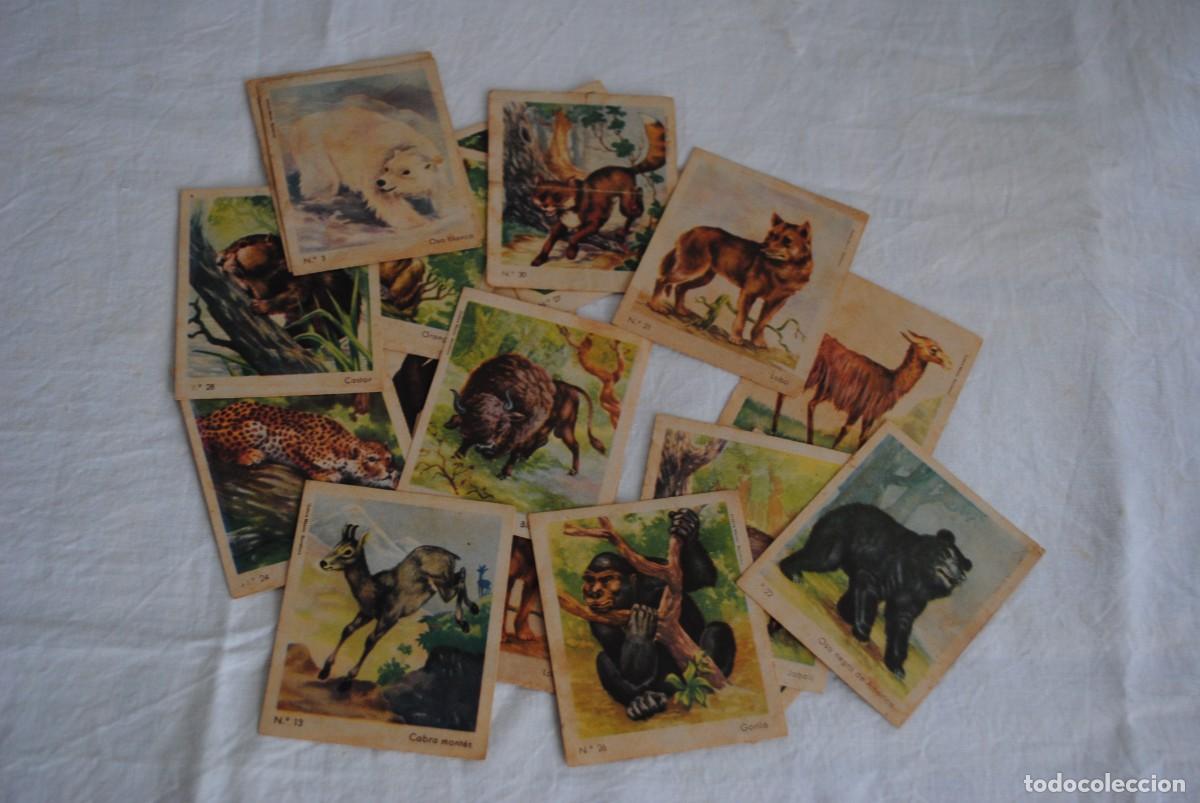 Coleccionismo cromos antiguos: CHOCOLATES EUREKA , CROMOS DE ANIMALES . - Foto 3
