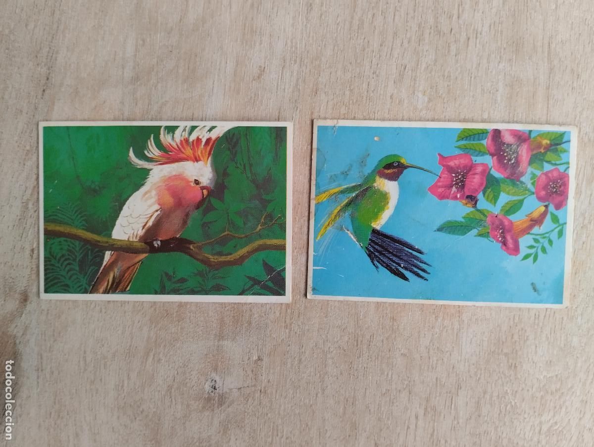 Coleccionismo cromos antiguos: LOTE 2 CROMOS (SUPERCROMO DUNKIN TEMA LAS AVES ) - Foto 1