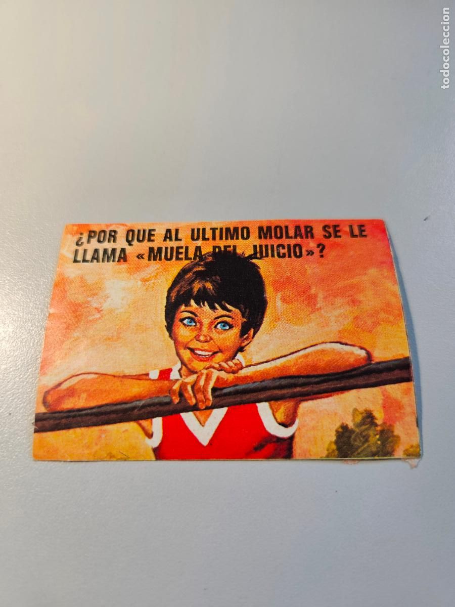 Coleccionismo Cromos antiguos: &Aacute;lbum EL PORQUE DE LAS COSAS 3 BIMBO CROMO 44 Bimbo 1973 / Despegado