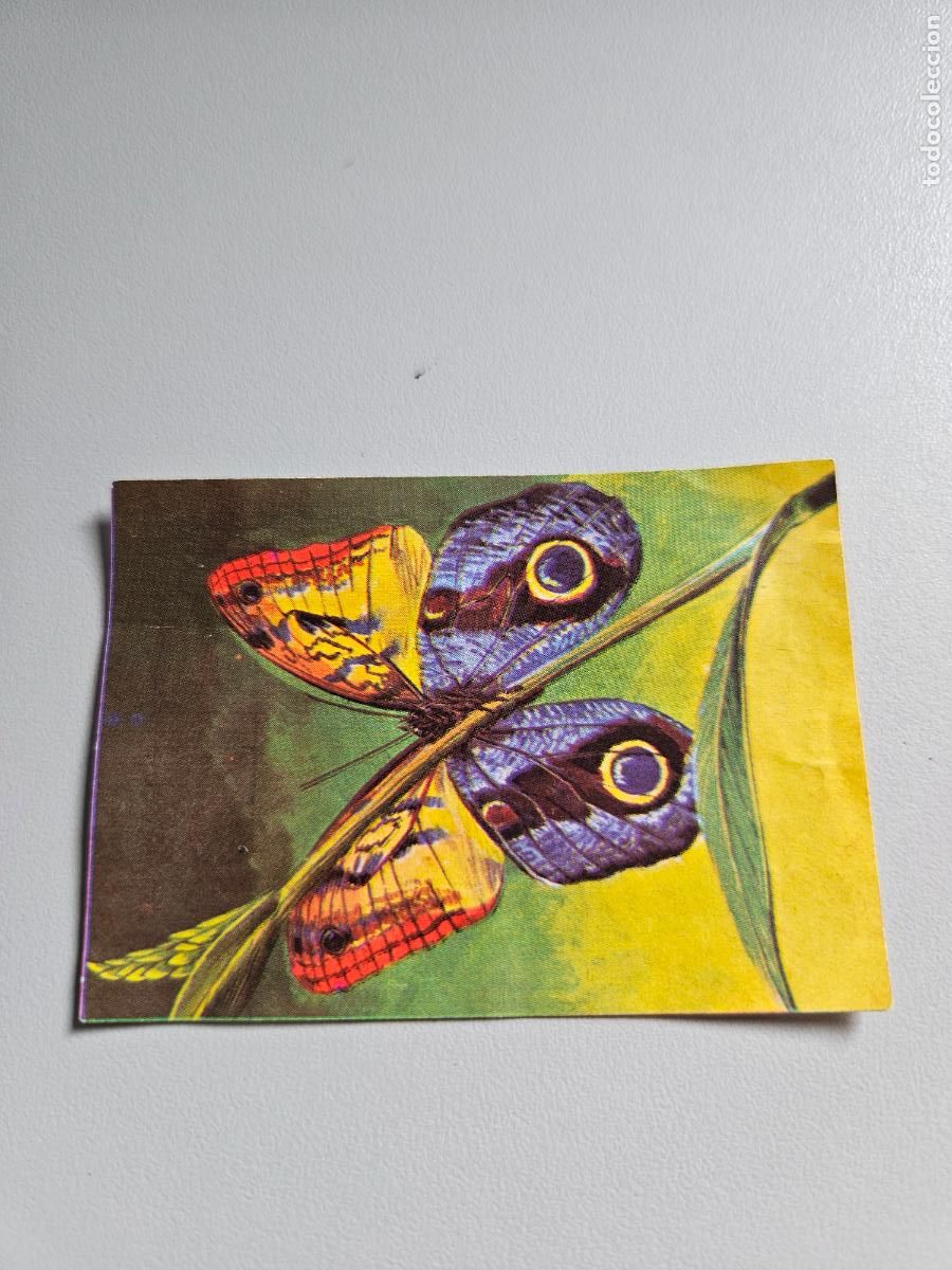 Coleccionismo Cromos antiguos: &Aacute;lbum EL PORQUE DE LAS COSAS 3 BIMBO CROMO 187 Bimbo 1974 / Despegado