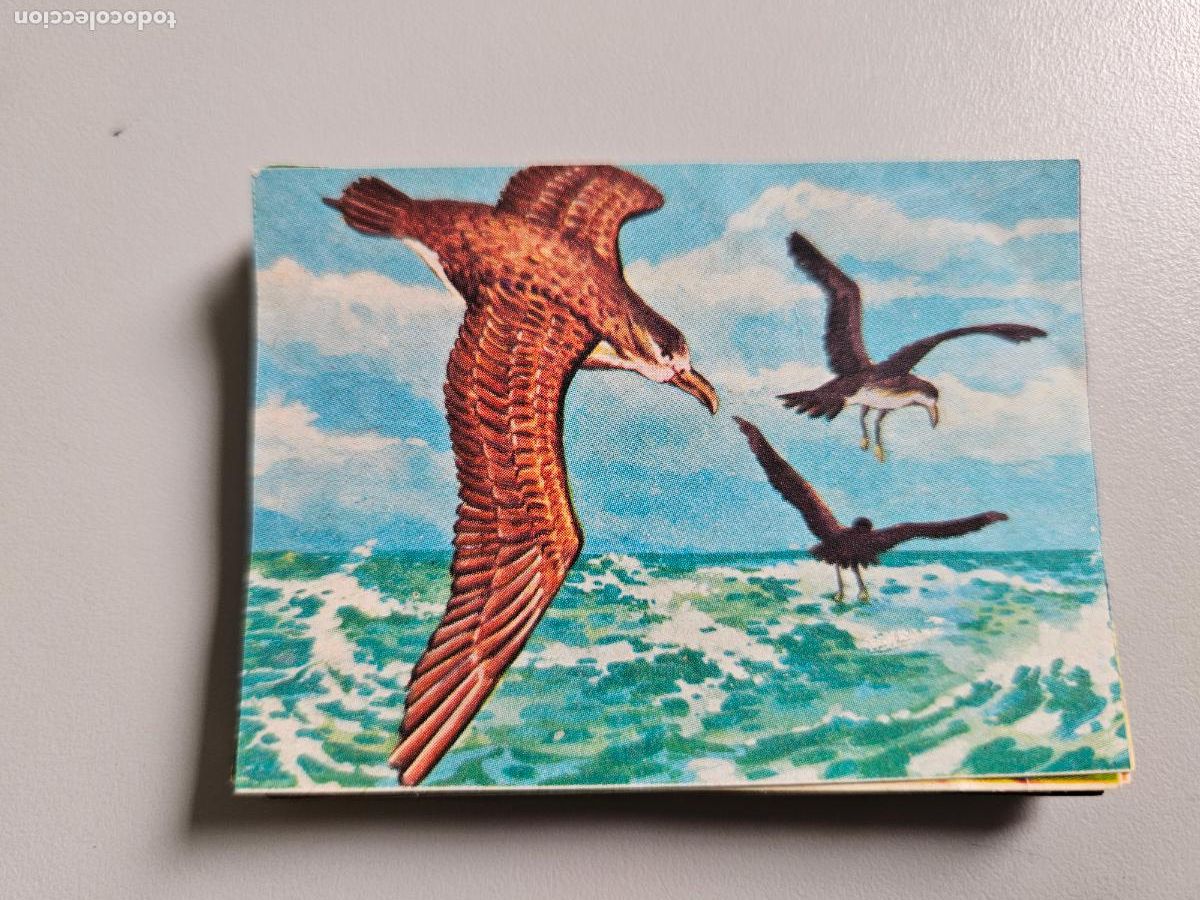 Coleccionismo Cromos antiguos: &Aacute;lbum EL PORQUE DE LAS COSAS 3 BIMBO CROMO 200 Bimbo 1974 / Despegado