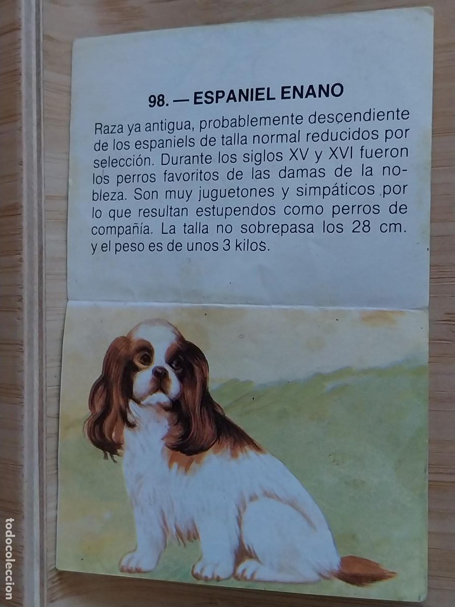 Coleccionismo Cromos antiguos: SPANIEL ENANO ZOOBIMBO BIMBO A&Ntilde;O 1978 CROMO 98 RECUPERADO ORIGINAL RAJADO
