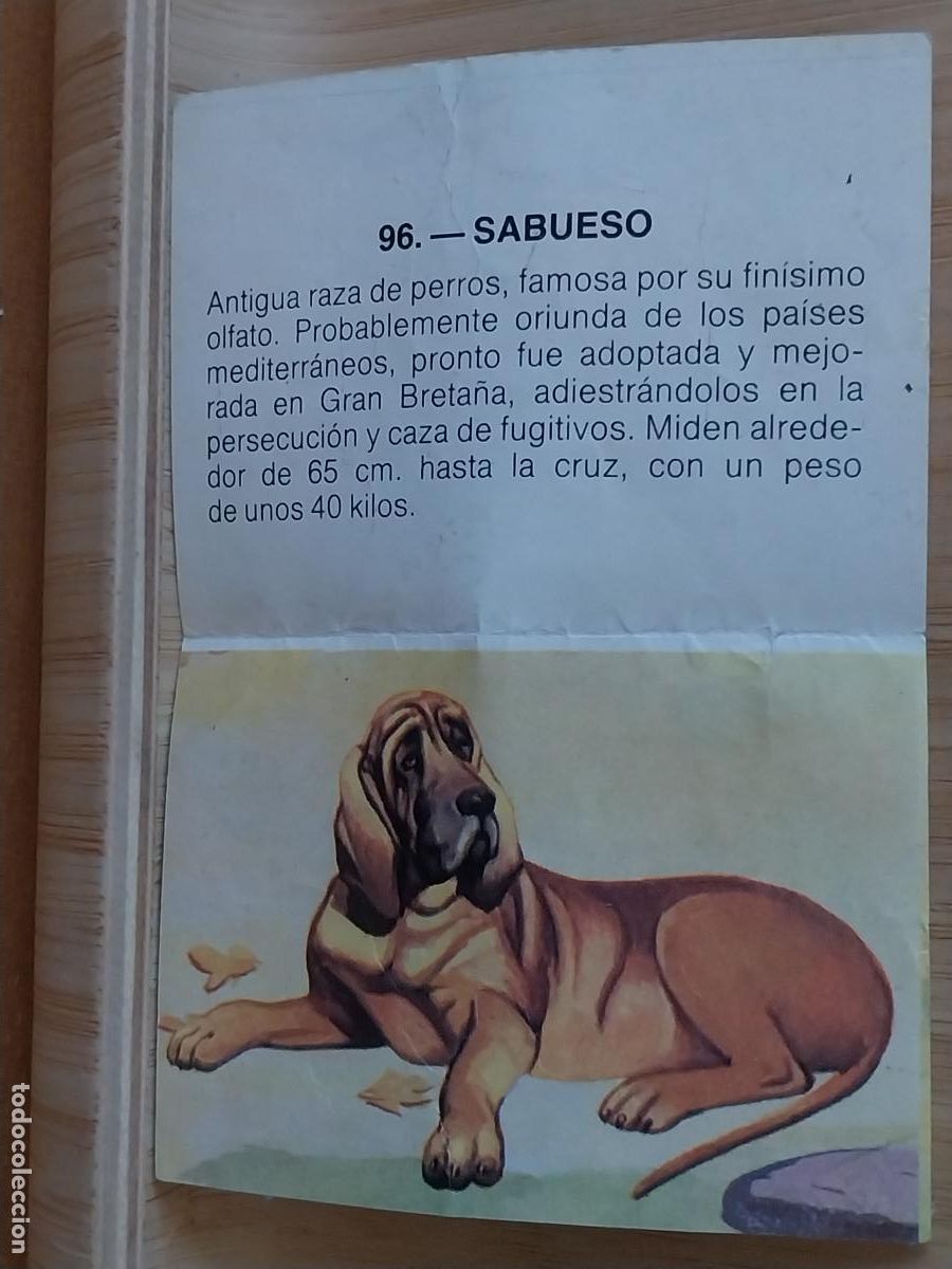 Coleccionismo Cromos antiguos: SABUESO ZOOBIMBO BIMBO A&Ntilde;O 1978 CROMO 96 RECUPERADO ORIGINAL
