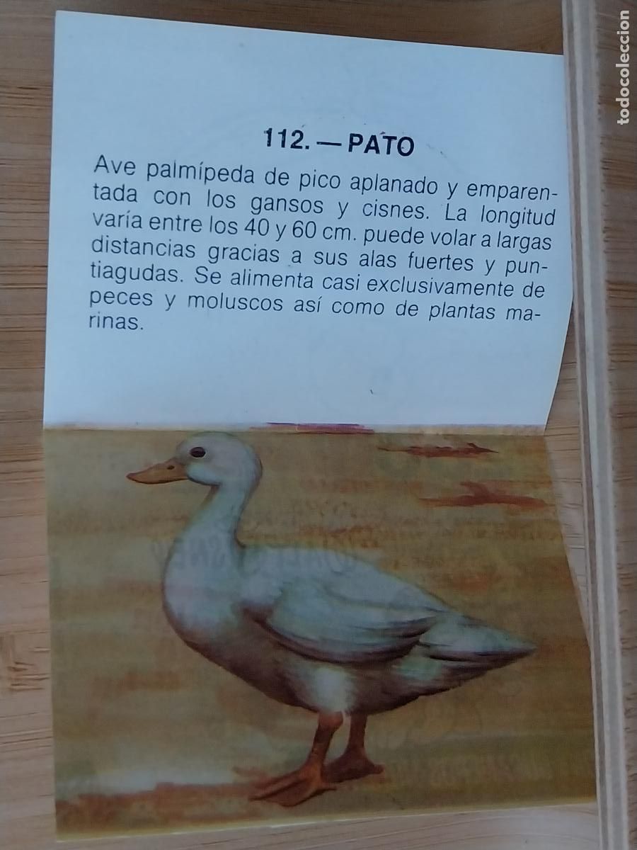 Coleccionismo Cromos antiguos: PATO DOM&Eacute;STICO ZOOBIMBO BIMBO A&Ntilde;O 1978 CROMO 112 RECUPERADO ORIGINAL