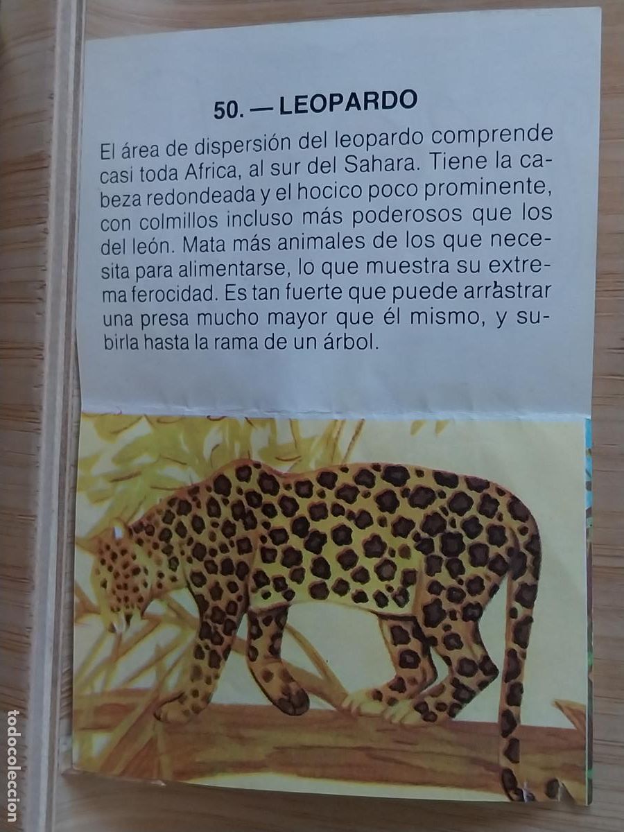 Coleccionismo Cromos antiguos: LEOPARDO DOM&Eacute;STICO ZOOBIMBO BIMBO A&Ntilde;O 1978 CROMO 50 RECUPERADO ORIGINAL