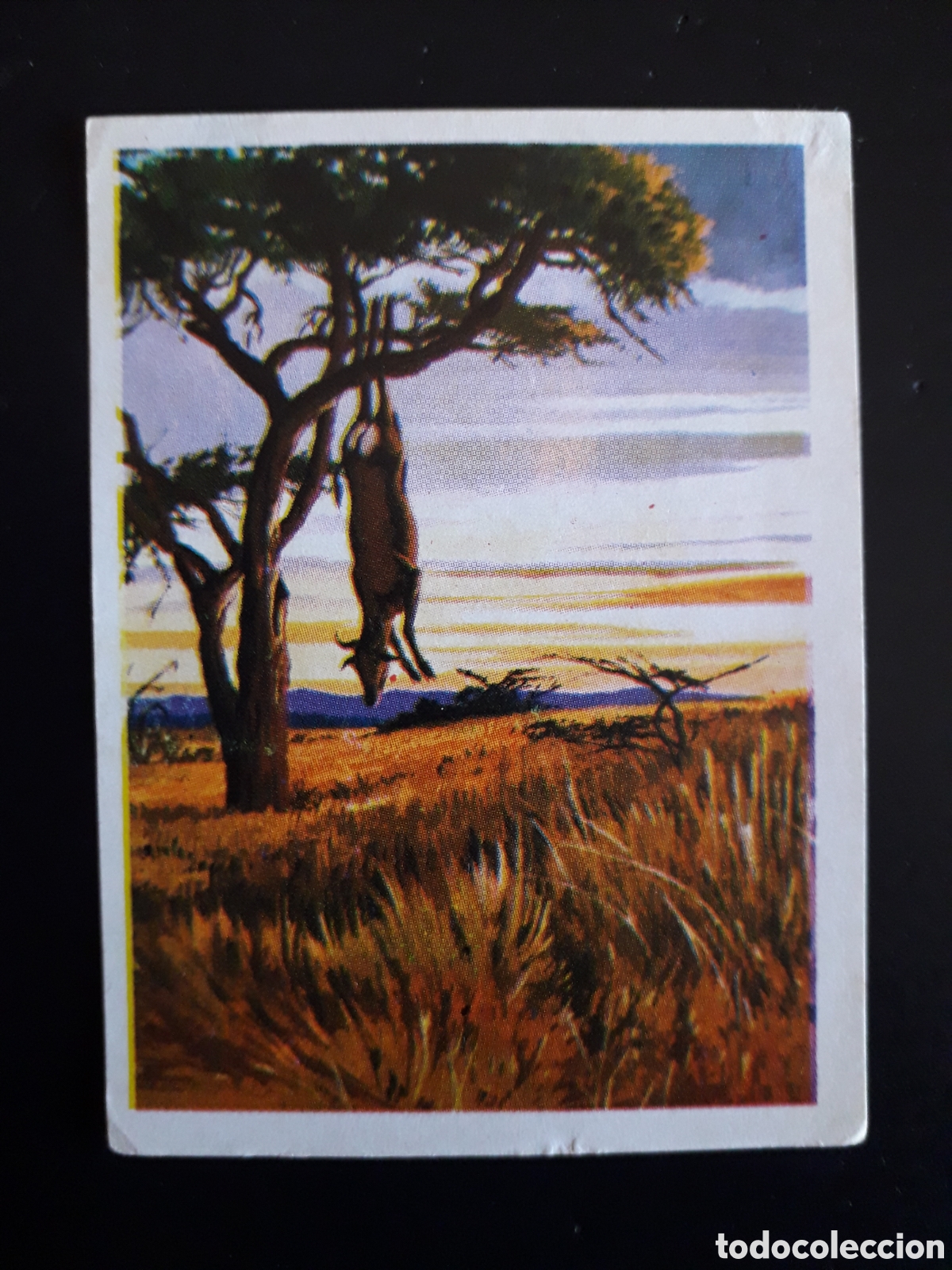 Coleccionismo Cromos antiguos: CAZA MAYOR, ED RUIZ ROMERO N&deg; 49 DESPEGADO PEDIDO M&Iacute;NIMO 3&euro;