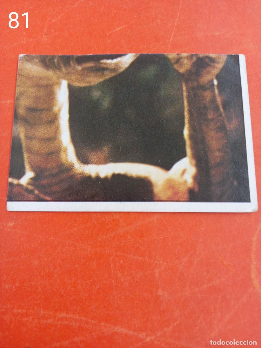 Coleccionismo cromos antiguos: Cromo n.81 E.T. El extraterrestre (sin pegar) - Foto 1