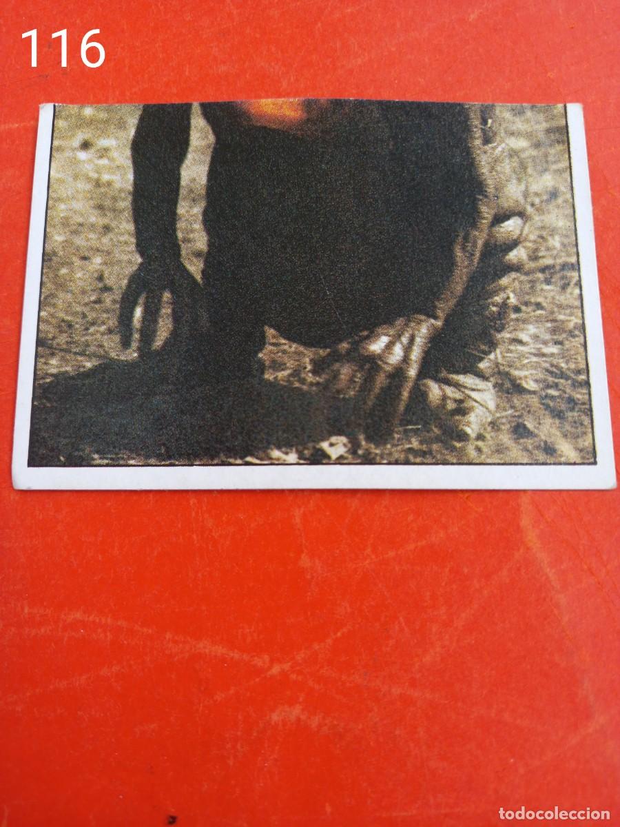 Coleccionismo cromos antiguos: Cromo n.116 E.T. El extraterrestre (sin pegar) - Foto 1