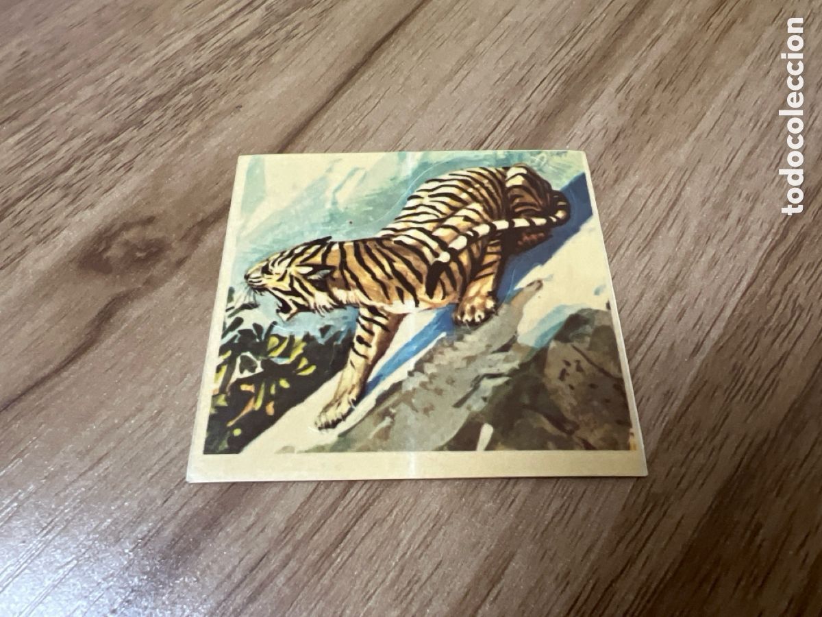 Collectionnisme Cartes &agrave; collectionner anciennes: 1982 ANIMALES SALVAJES - DIFUSORA DE CULTURA N&ordm; 146 TIGRE BLANCO
