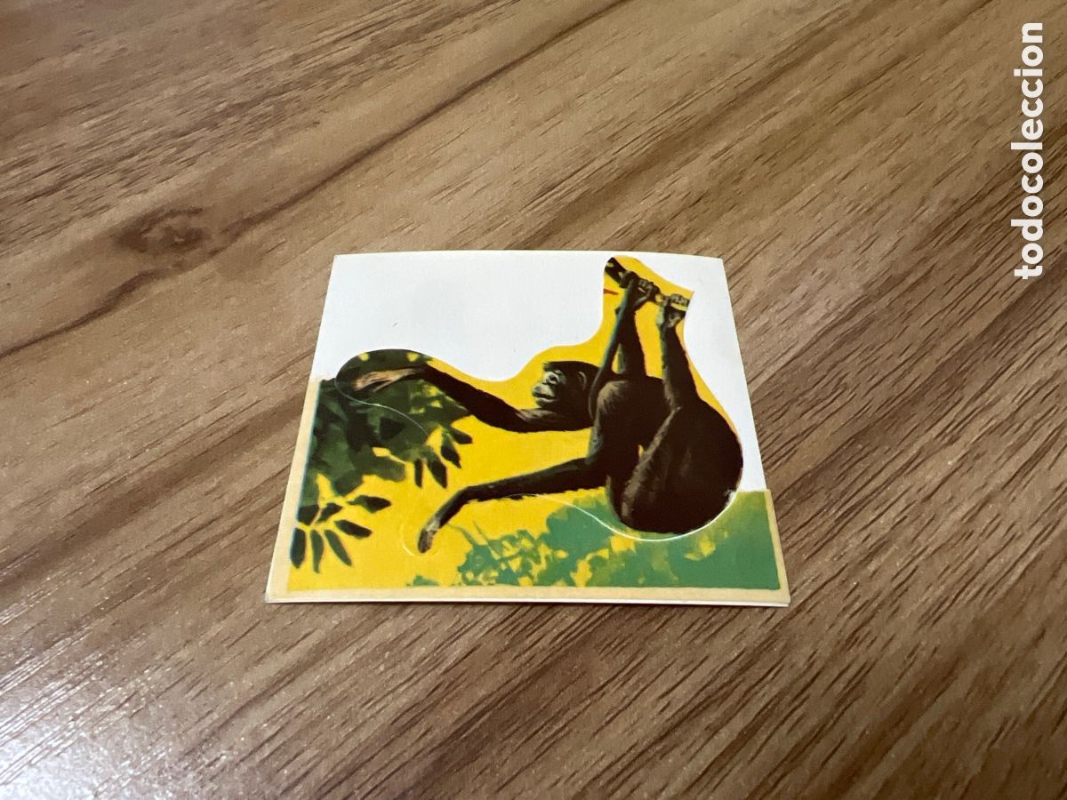 Collectable Antique Stickers: 1982 ANIMALES SALVAJES - DIFUSORA DE CULTURA N&ordm; 233 MONO ARA&Ntilde;A