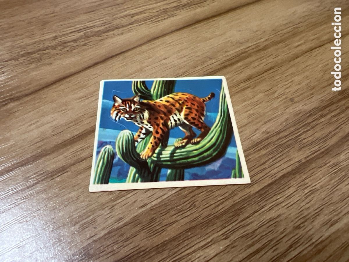 Sammeln alte Sammelbilder: 1982 ANIMALES SALVAJES - DIFUSORA DE CULTURA N&ordm;205 LINCE ROJO