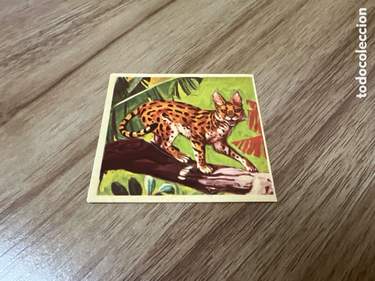 Sammeln alte Sammelbilder: 1982 ANIMALES SALVAJES - DIFUSORA DE CULTURA N&ordm; 48 SERVAL