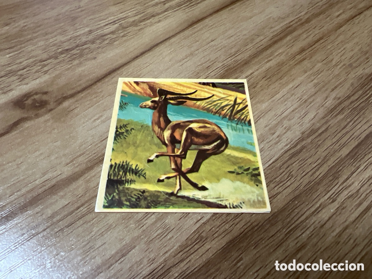 Sammeln alte Sammelbilder: 1982 ANIMALES SALVAJES - DIFUSORA DE CULTURA N&ordm; 57 IMPALA