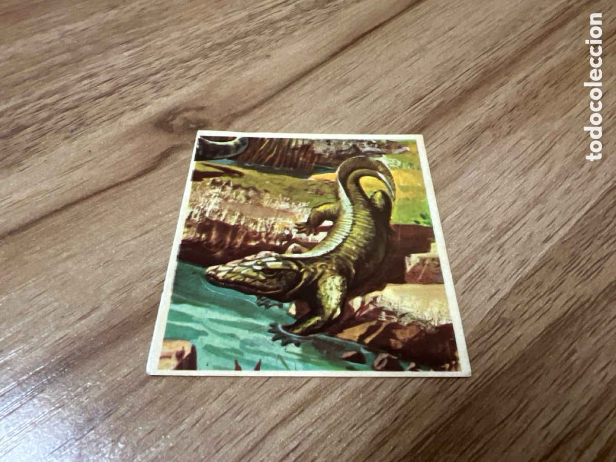Coleccionismo Cromos antiguos: 1982 ANIMALES SALVAJES - DIFUSORA DE CULTURA N&ordm; 8 ICHTHYOSTEGA