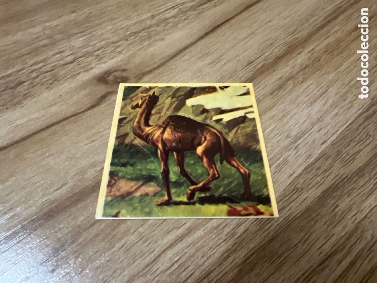 Coleccionismo Cromos antiguos: 1982 ANIMALES SALVAJES - DIFUSORA DE CULTURA N&ordm; 35 ALTICAMELUS