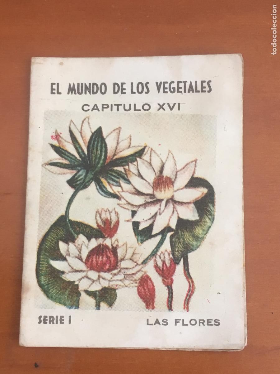Coleccionismo Cromos antiguos: el mundo de los vegetales serie I las flores cromo libro n&ordm; XVI obsequio la mascota
