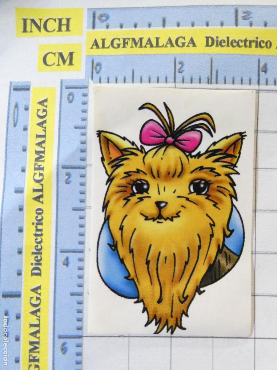 Coleccionismo Cromos antiguos: CROMO CROMITO CHUCHER&Iacute;AS PASTELITOS. BOLLYCAO. AMIGOS Y COLEGAS 22 YORKSHIRE TERRIER. 47
