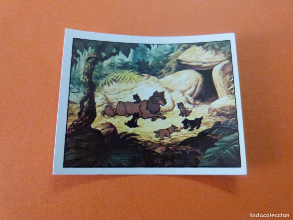 Colecionismo Cromos antigos: CROMO EL LIBRO DE LA SELVA** SIN PEGAR N&ordm; 5 A&Ntilde;O 1993 ALBUM EL LIBRO DE LA SELVA PANINI