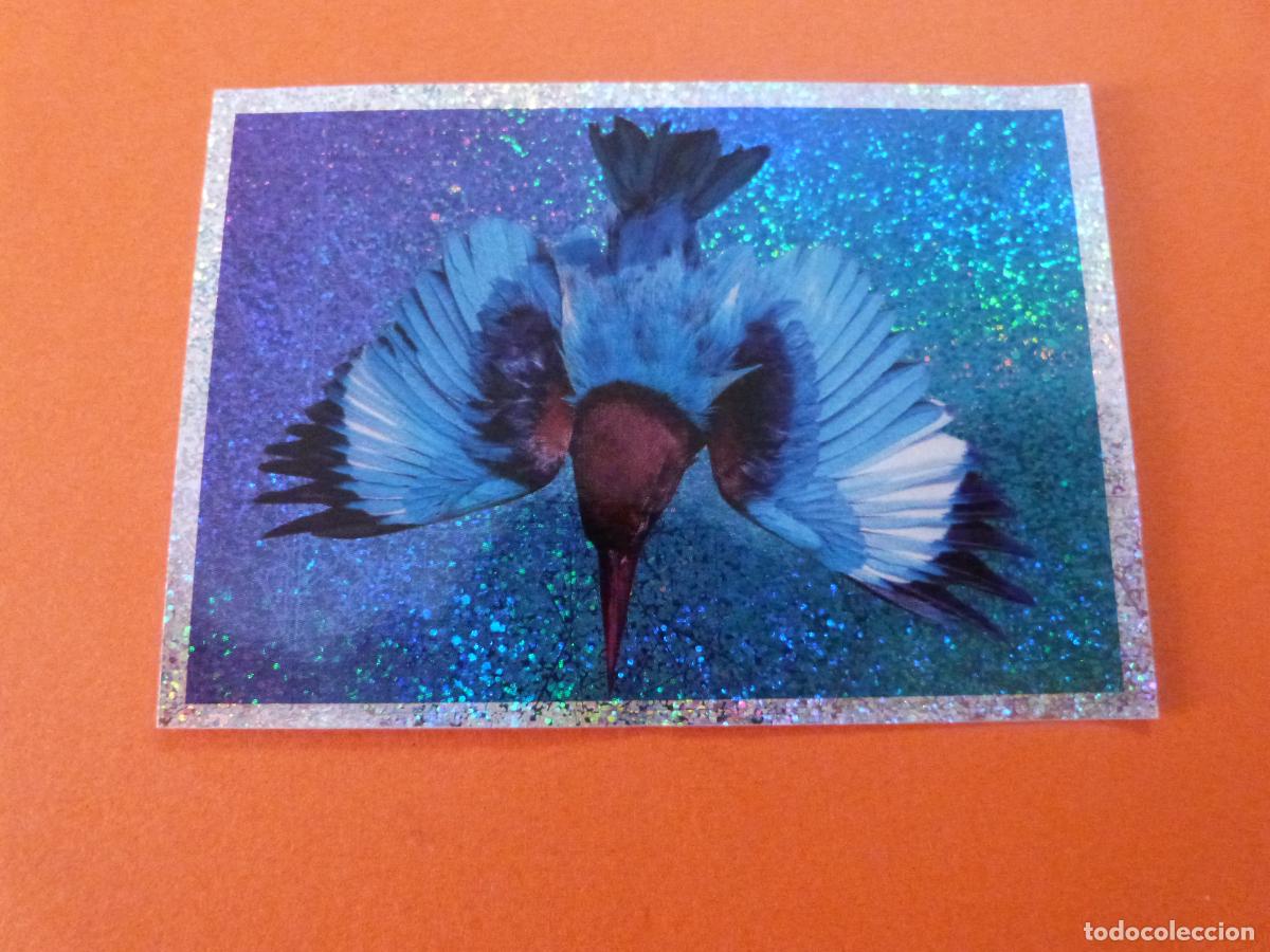 Colecionismo Cromos antigos: CROMO MUNDO ANIMAL LOS RECORDS SIN PEGAR LETRA X31 A&Ntilde;O 2025 ALBUM MUNDO ANIMAL LOS RECORDS DE PANINI