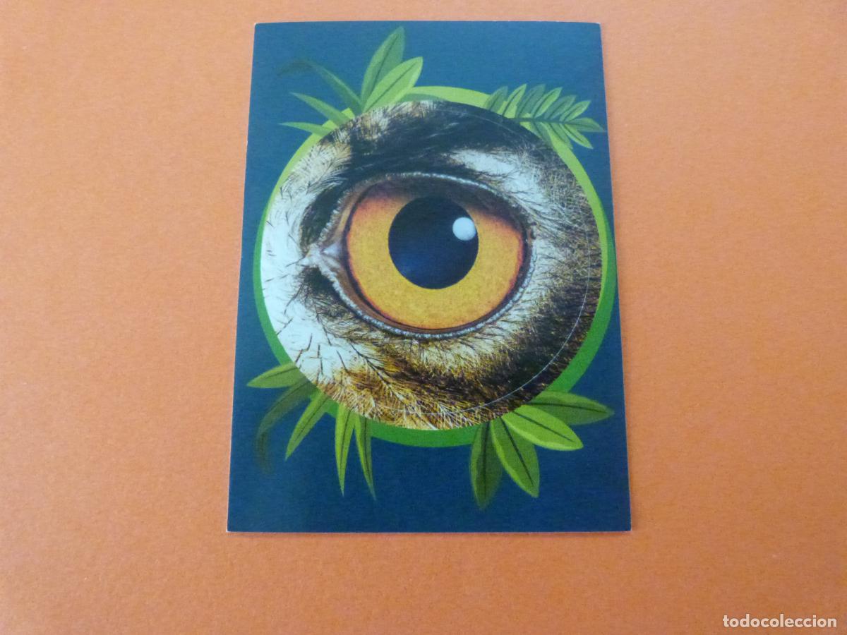 Colecionismo Cromos antigos: CROMO MUNDO ANIMAL LOS RECORDS SIN PEGAR LETRA X11 A&Ntilde;O 2025 ALBUM MUNDO ANIMAL LOS RECORDS DE PANINI