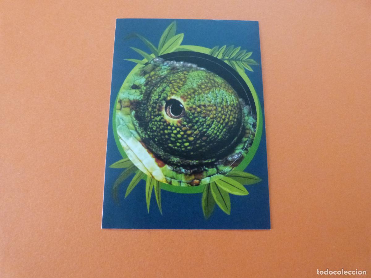 Colecionismo Cromos antigos: CROMO MUNDO ANIMAL LOS RECORDS SIN PEGAR LETRA X7 A&Ntilde;O 2025 ALBUM MUNDO ANIMAL LOS RECORDS DE PANINI