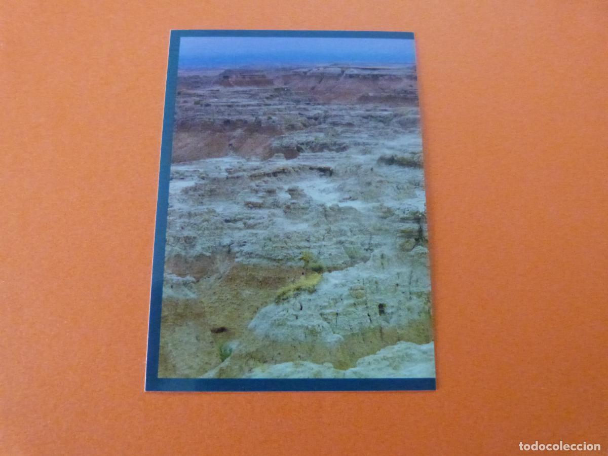 Colecionismo Cromos antigos: CROMO MUNDO ANIMAL LOS RECORDS SIN PEGAR LETRA X3 A&Ntilde;O 2025 ALBUM MUNDO ANIMAL LOS RECORDS DE PANINI