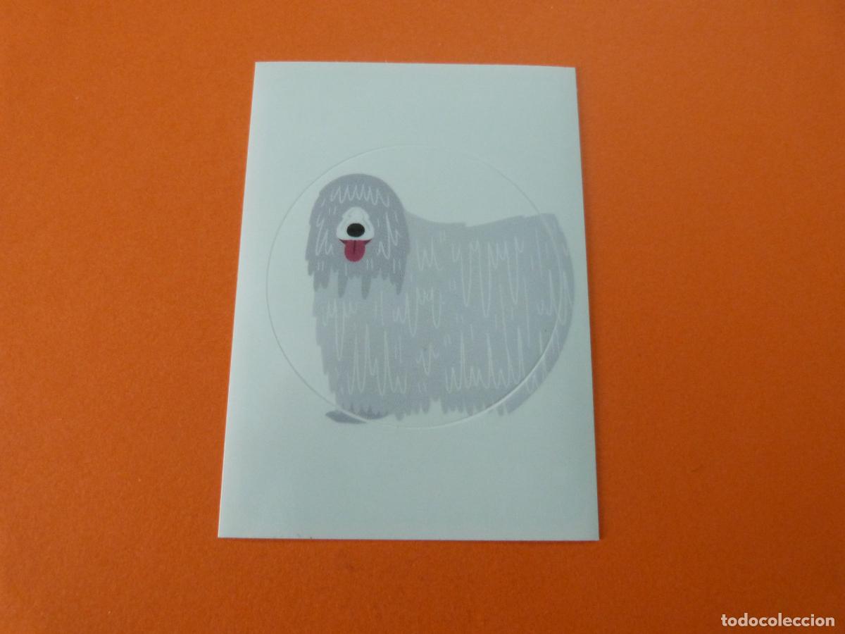 Colecionismo Cromos antigos: CROMO MUNDO ANIMAL LOS RECORDS SIN PEGAR N&ordm; 174 A&Ntilde;O 2025 ALBUM MUNDO ANIMAL LOS RECORDS DE PANINI