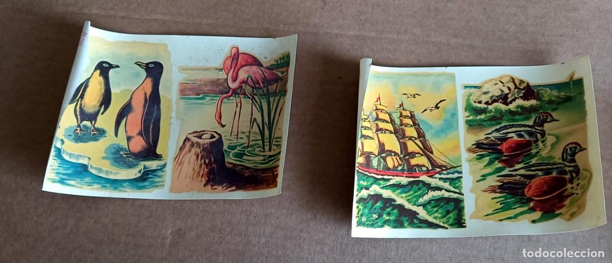 Coleccionismo cromos antiguos: 10 calcoman&iacute;as antiguas CHAVELI - Foto 5