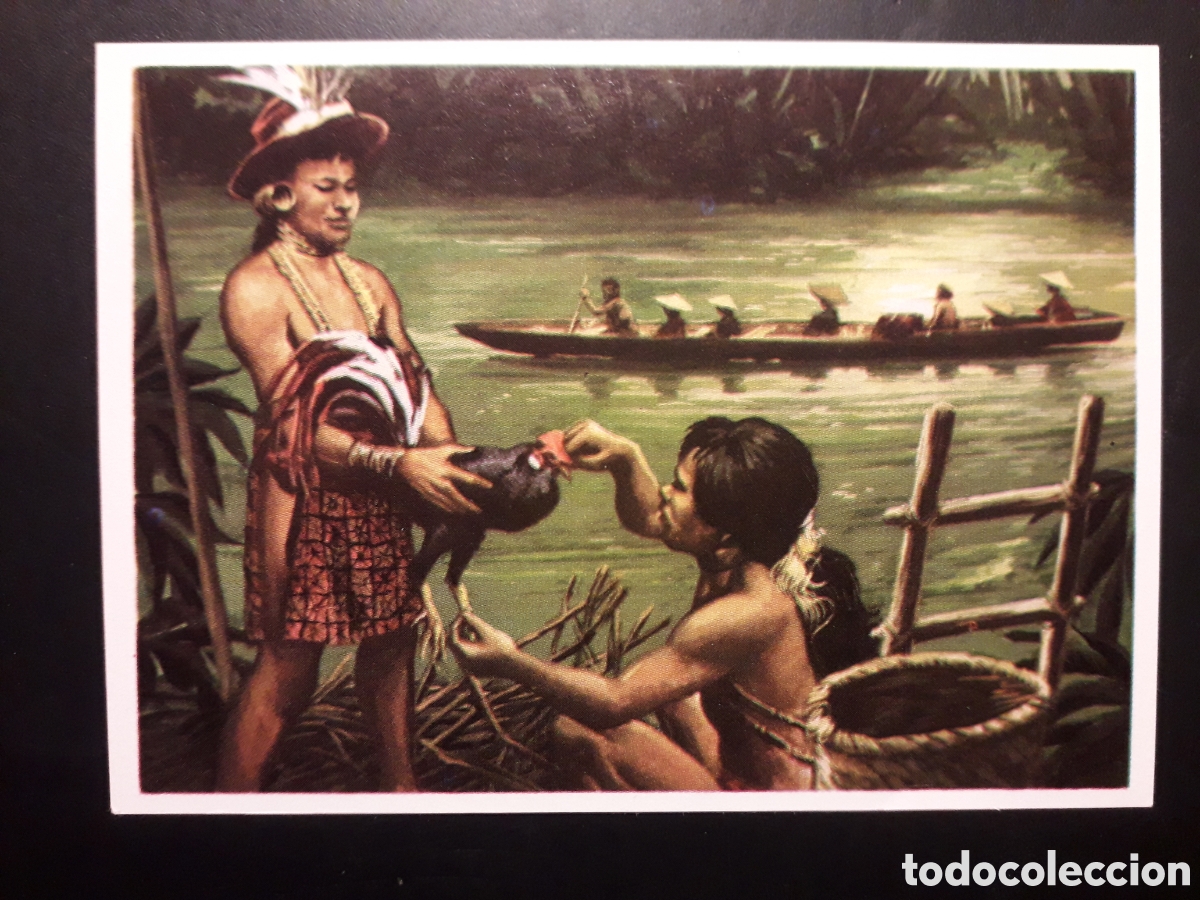 Coleccionismo Cromos antiguos: HOMBRES RAZAS Y COSTUMBRES N&deg; 98 RUIZ ROMERO 1972 SIN PEGAR. PEDIDO M&Iacute;NIMO 3&euro;