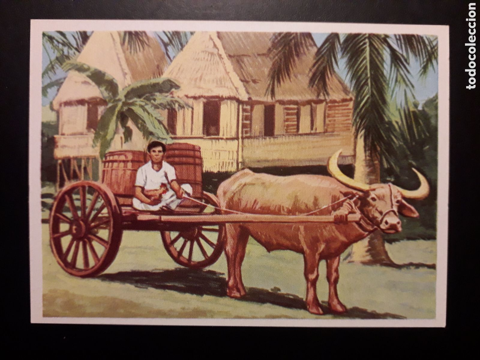 Coleccionismo Cromos antiguos: HOMBRES RAZAS Y COSTUMBRES N&deg; 102 RUIZ ROMERO 1972 SIN PEGAR. PEDIDO M&Iacute;NIMO 3&euro;