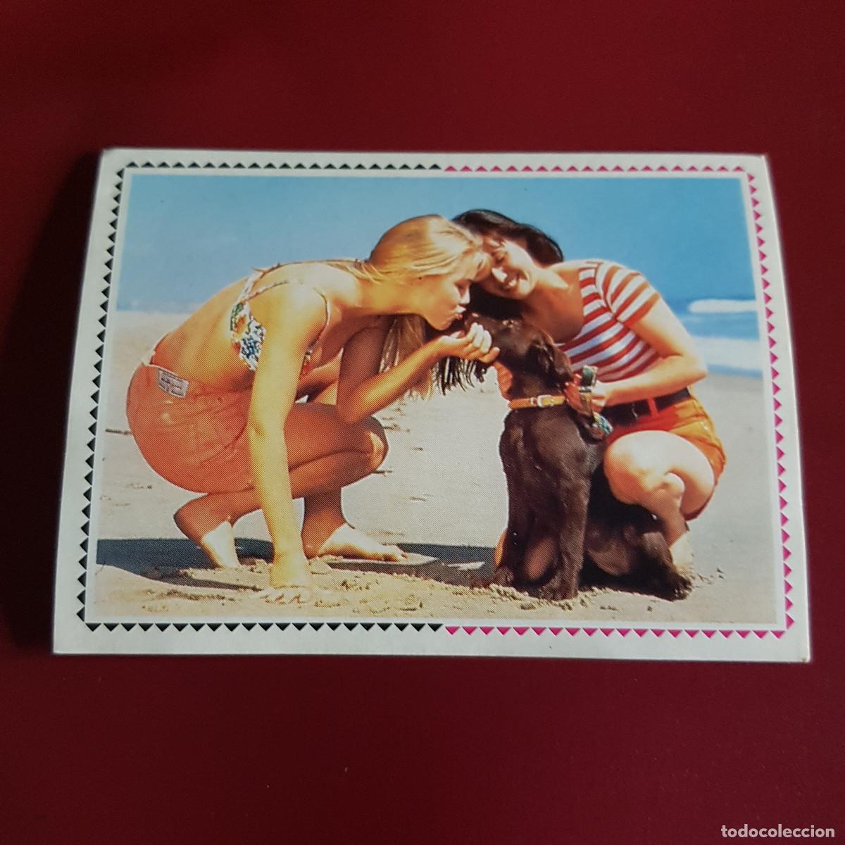 Coleccionismo Cromos antiguos: ESTE - SENSACION DE VIVIR 90210 - BEVERLY HILLS - 27 - NUNCA PEGADO