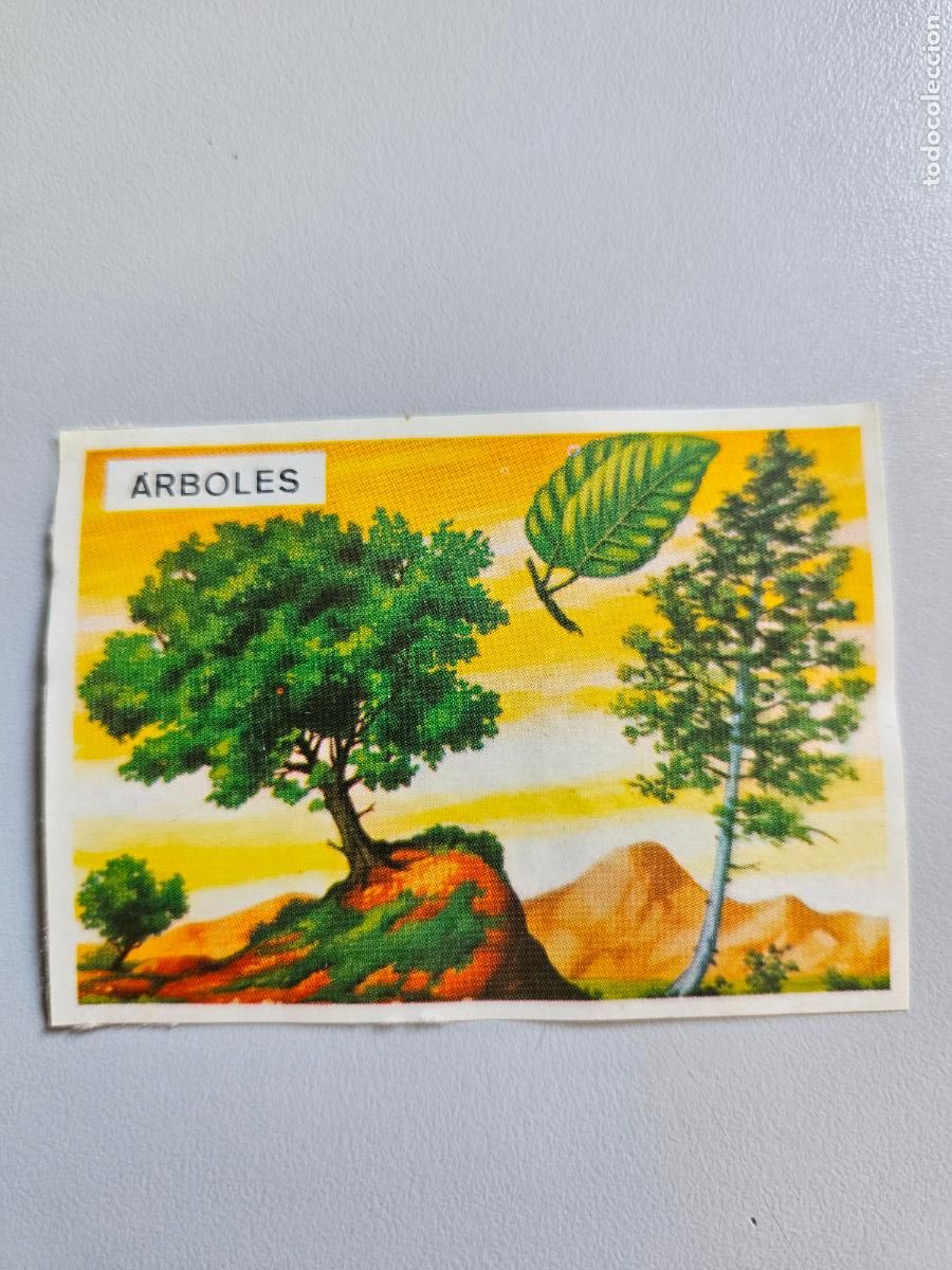 Coleccionismo Cromos antiguos: Panorama animales y plantas cromo n&ordm; 19, &aacute;lbum Maga, 1976