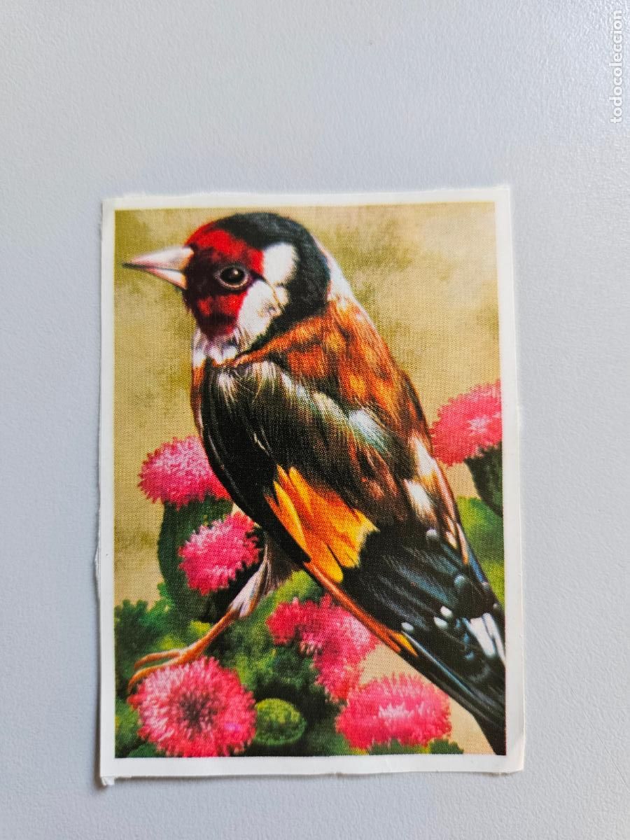 Coleccionismo Cromos antiguos: Panorama animales y plantas cromo n&ordm; 29, &aacute;lbum Maga, 1976