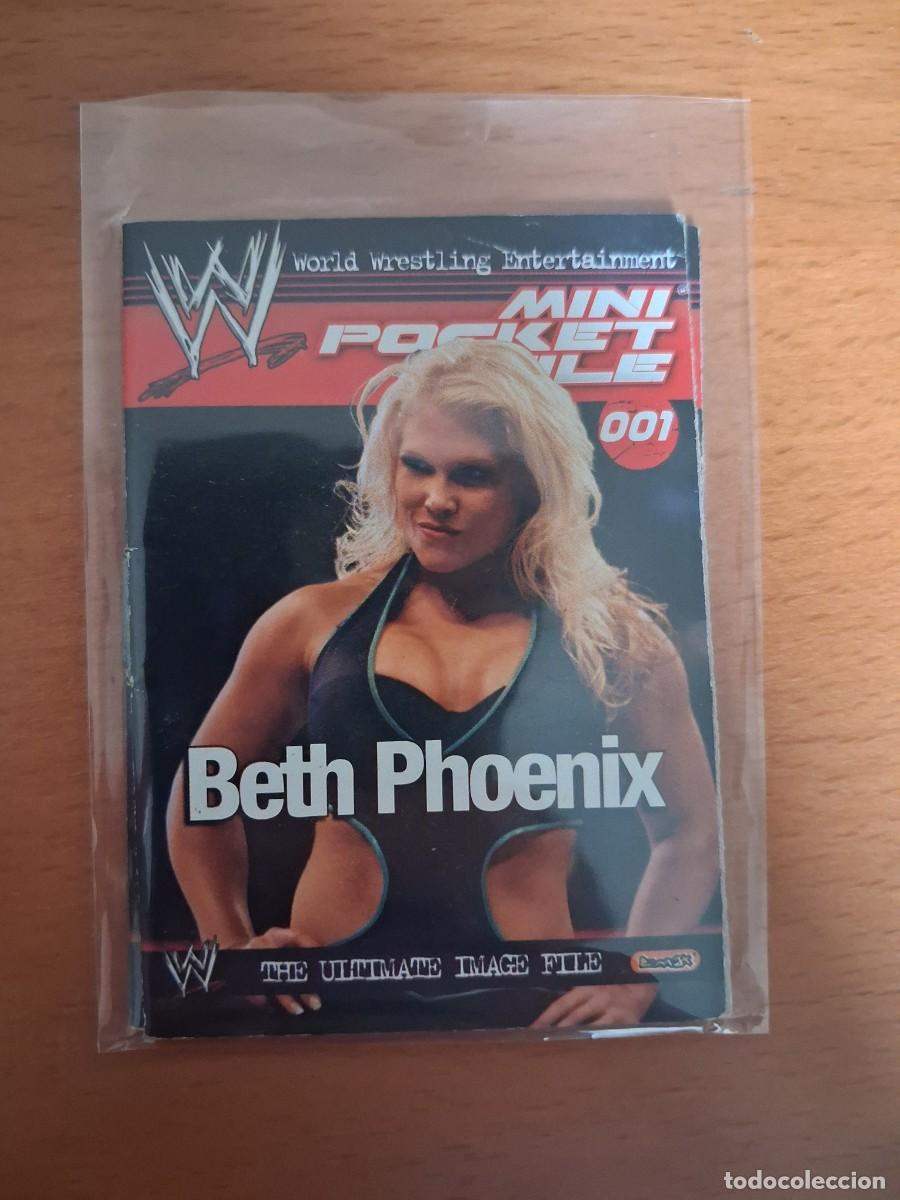 Coleccionismo cromos antiguos: WWE Mini Pocket File 1 Beth Phoenix - Foto 1