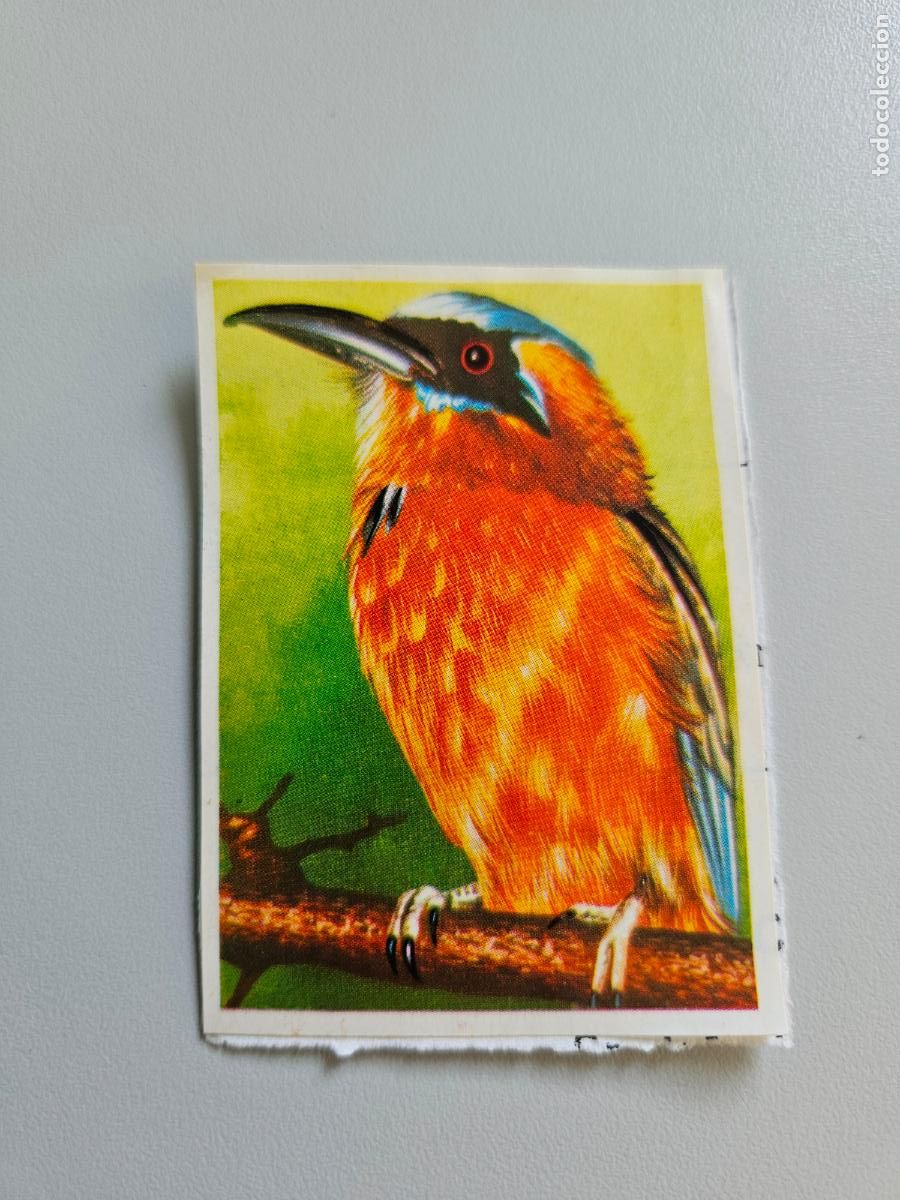 Coleccionismo Cromos antiguos: Panorama animales y plantas cromo n&ordm; 37, &aacute;lbum Maga, 1976