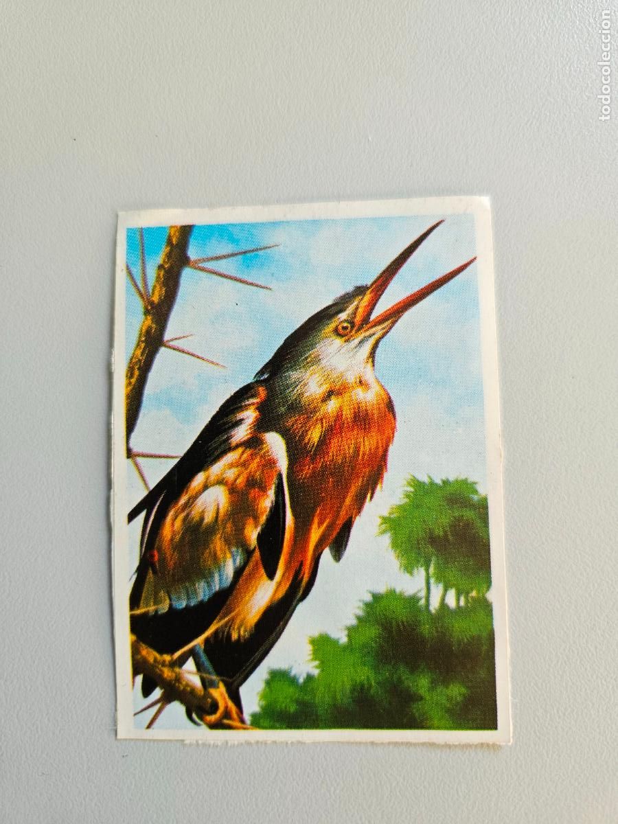 Coleccionismo Cromos antiguos: Panorama animales y plantas cromo n&ordm; 65, &aacute;lbum Maga, 1976