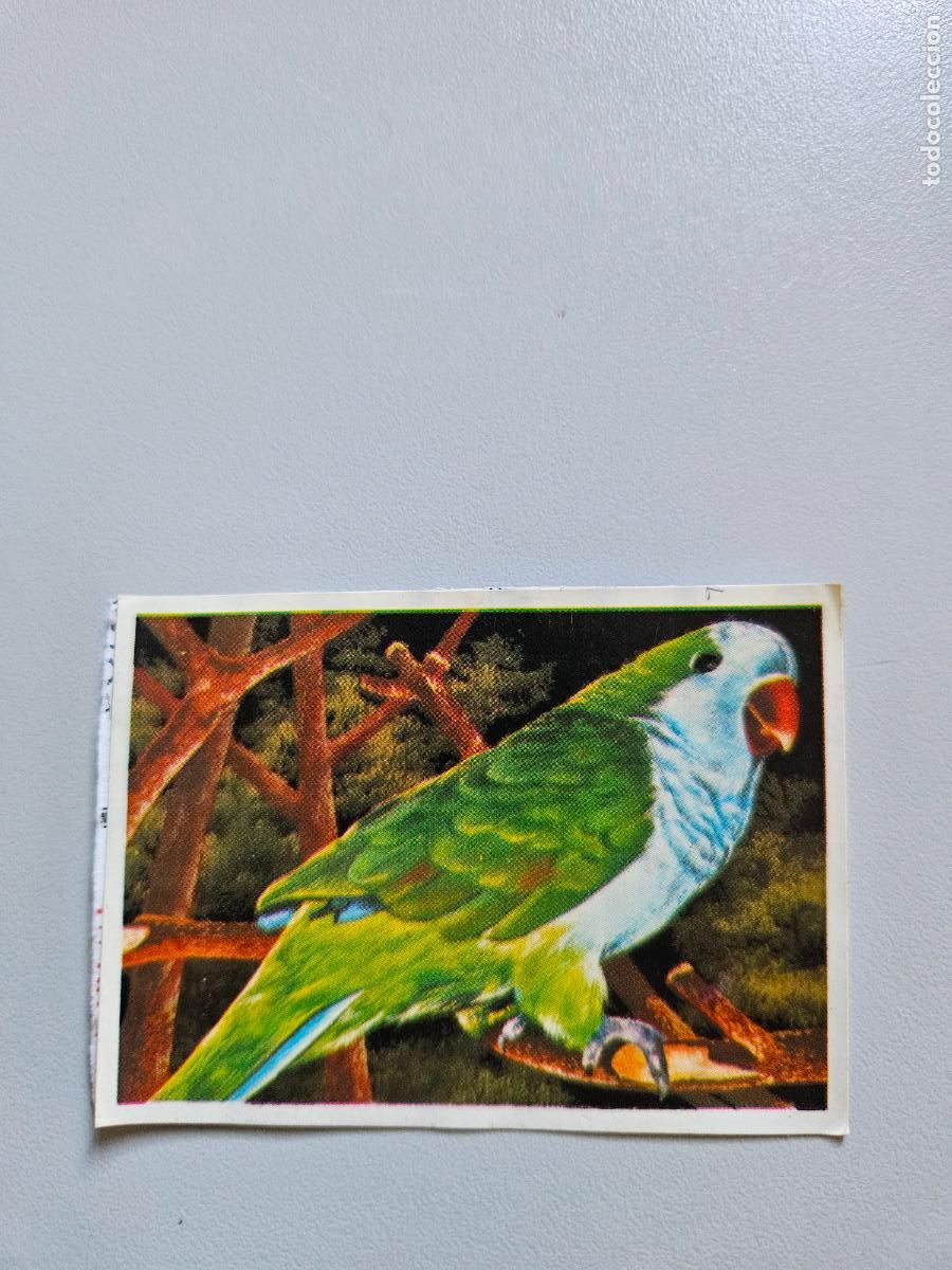 Collezionismo Figurine antiche: Panorama animales y plantas cromo n&ordm; 74, &aacute;lbum Maga, 1976