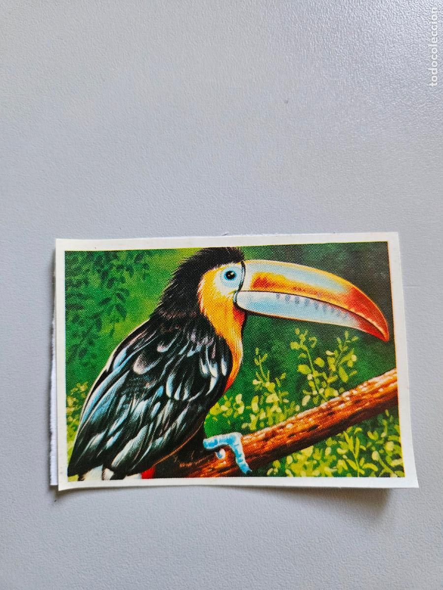 Collezionismo Figurine antiche: Panorama animales y plantas cromo n&ordm; 76, &aacute;lbum Maga, 1976