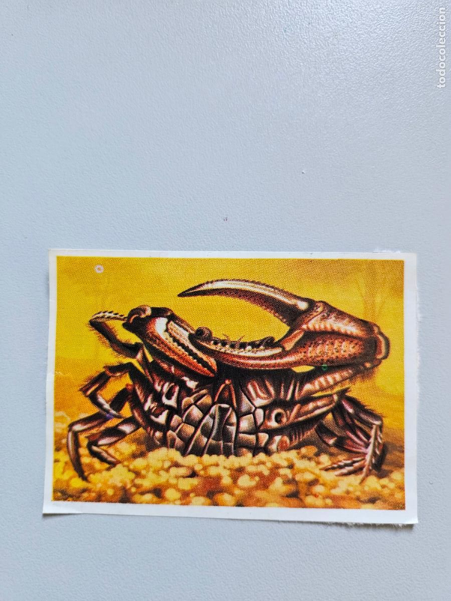 Colecionismo Cromos antigos: Panorama animales y plantas cromo n&ordm; 85, &aacute;lbum Maga, 1976