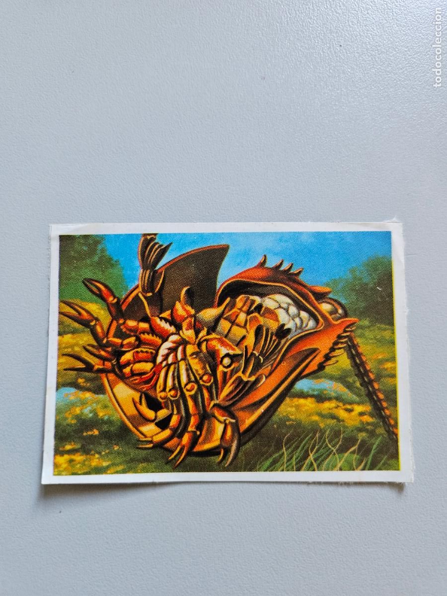 Colecionismo Cromos antigos: Panorama animales y plantas cromo n&ordm; 86, &aacute;lbum Maga, 1976