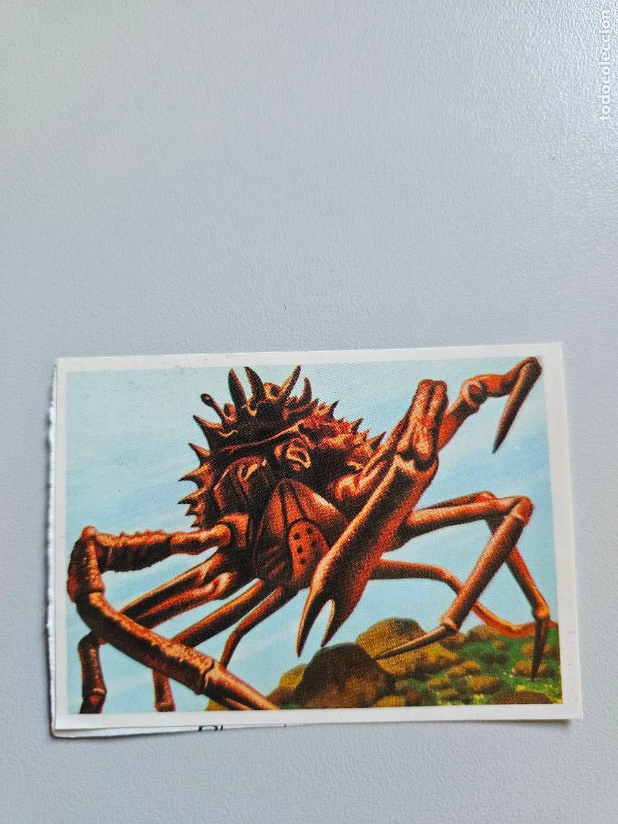 Sammeln alte Sammelbilder: Panorama animales y plantas cromo n&ordm; 87, &aacute;lbum Maga, 1976