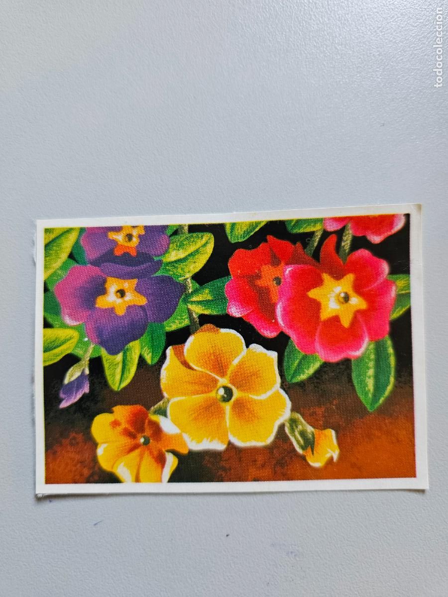 Coleccionismo Cromos antiguos: Panorama animales y plantas cromo n&ordm; 107, &aacute;lbum Maga, 1976