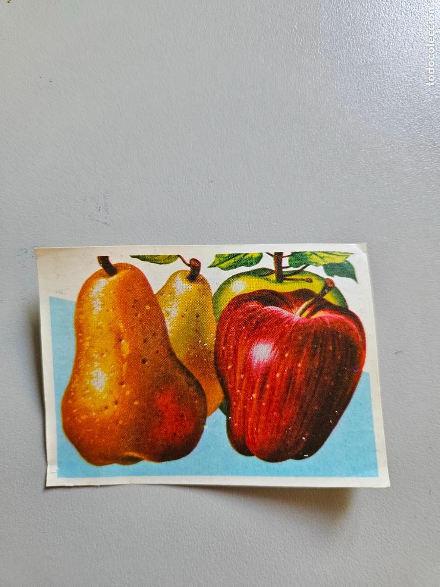 Coleccionismo Cromos antiguos: Panorama animales y plantas cromo n&ordm; 114, &aacute;lbum Maga, 1976