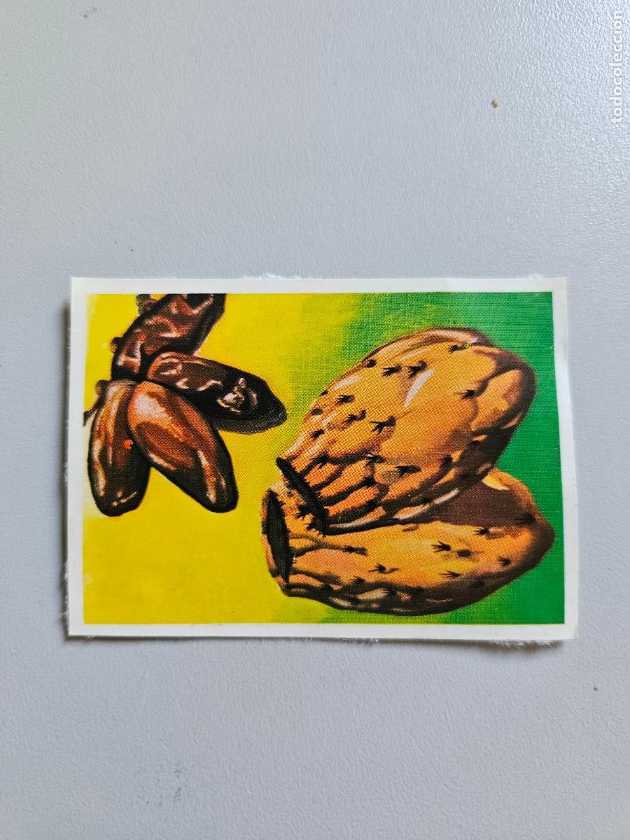 Coleccionismo Cromos antiguos: Panorama animales y plantas cromo n&ordm; 119, &aacute;lbum Maga, 1976