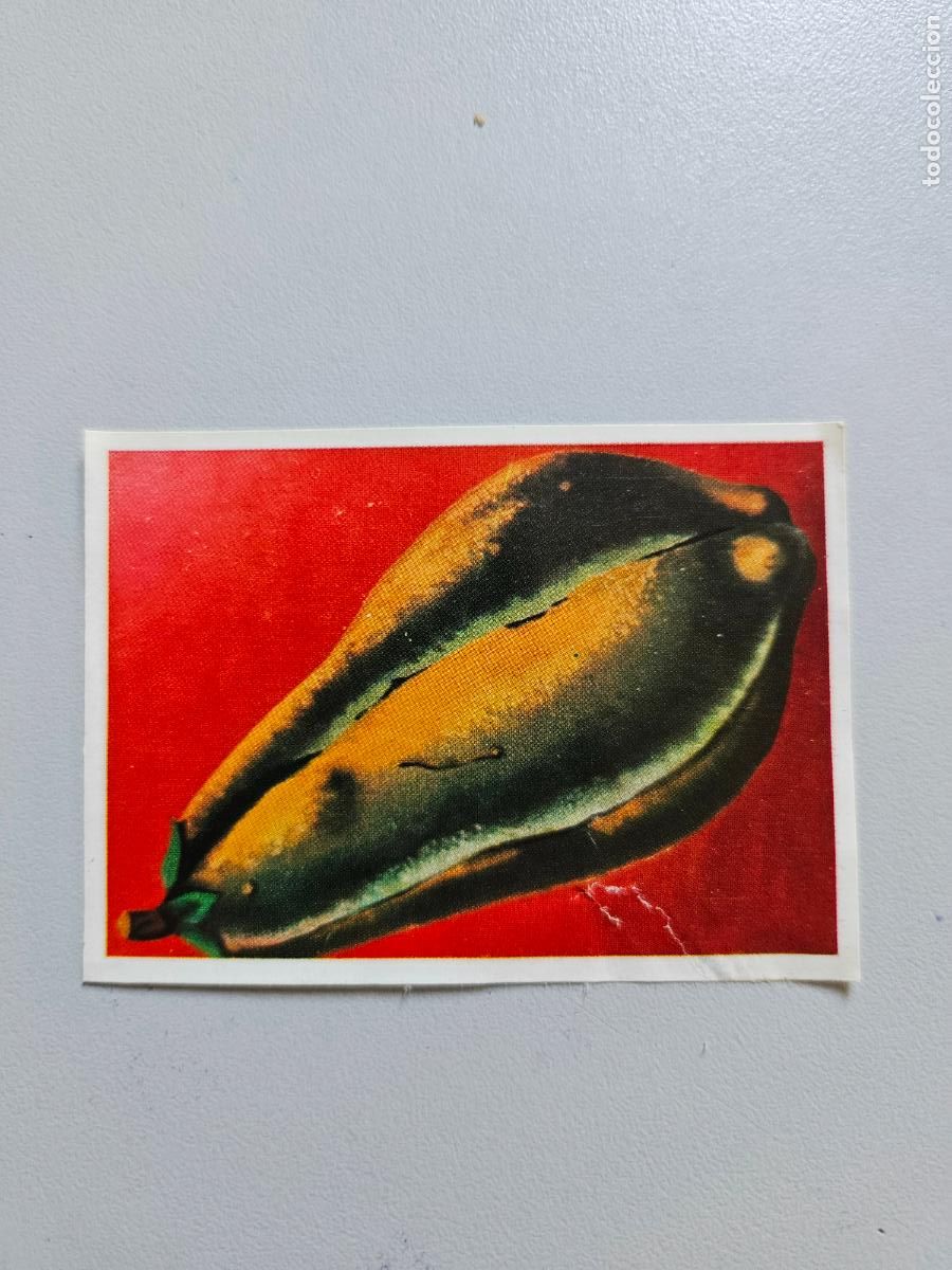 Coleccionismo Cromos antiguos: Panorama animales y plantas cromo n&ordm; 120, &aacute;lbum Maga, 1976