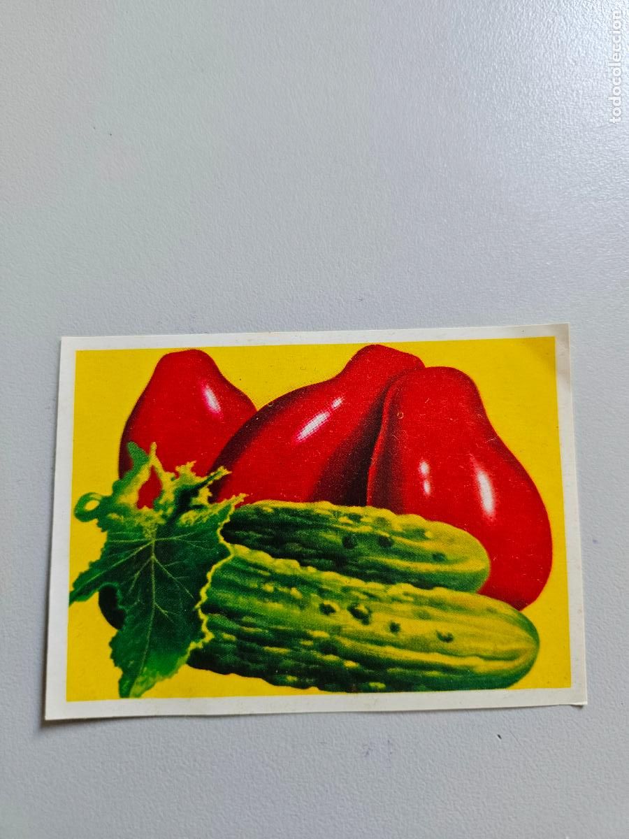 Coleccionismo Cromos antiguos: Panorama animales y plantas cromo n&ordm; 126, &aacute;lbum Maga, 1976