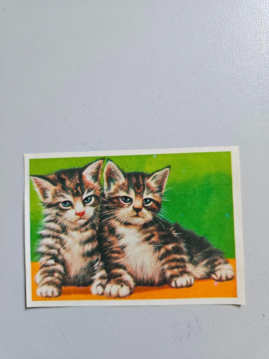 Coleccionismo Cromos antiguos: Panorama animales y plantas cromo n&ordm; 129, &aacute;lbum Maga, 1976