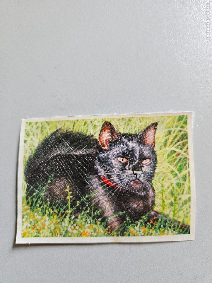 Coleccionismo Cromos antiguos: Panorama animales y plantas cromo n&ordm; 131, &aacute;lbum Maga, 1976